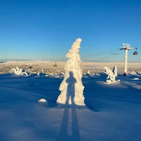 شقة Alpinlandsby 88 *