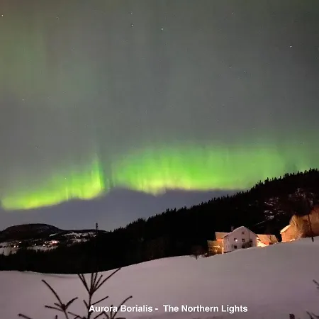 Alpinlandsby 88 * هافيِلْ